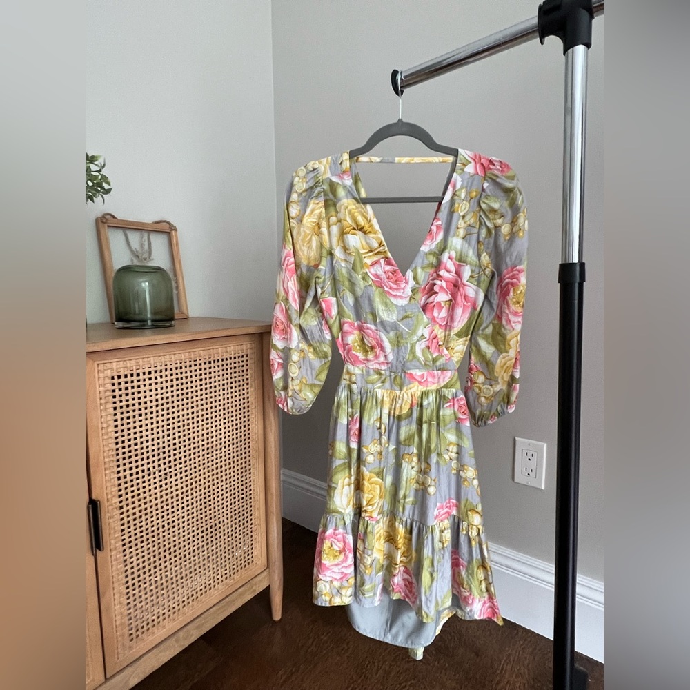 Express Floral Dress